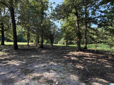 /international/us/497-jay-lane-lot-0-empire-al-110120488809/