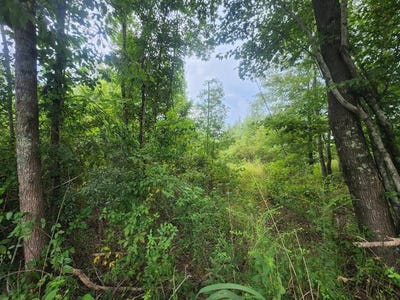 /international/us/1-freedom-road-branchville-sc-110079118746/?lang=zh-cn