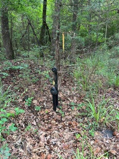 /international/us/tbd-cr-2341-w-cass-county-road-2341-douglassville-tx-110108749559/