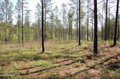 /international/us/000-watson-road-east-tract-11-forsyth-ga-110098685997/?lang=zh-cn