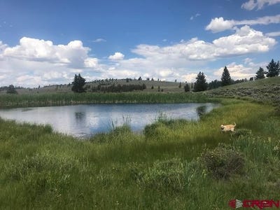 /international/us/159-uncompahgre-drive-powderhorn-co-110096307523/