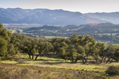 /international/us/cougar-ridge-road-buellton-ca-110093490771/