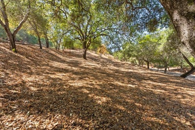 /international/us/16099-greenwood-rd-monte-sereno-ca-110110332908/