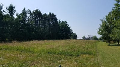 /international/us/1020-cinnamon-drive-west-salem-oh-110085915827/