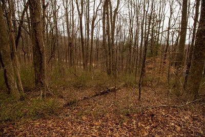 /international/us/scotch-pine-dr-lot-356-copper-hill-va-110106850021/