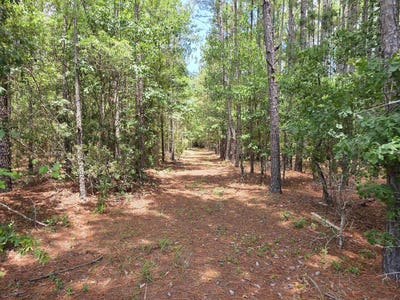 /international/us/3435-highway-430-nichols-sc-110108911443/