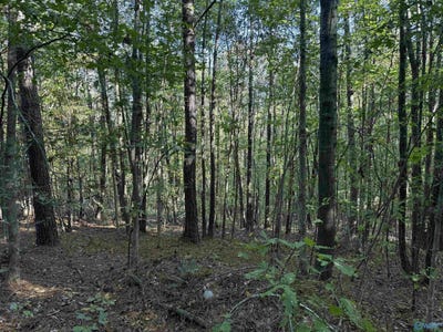 /international/us/1028-goddard-road-bear-creek-al-110106354362/