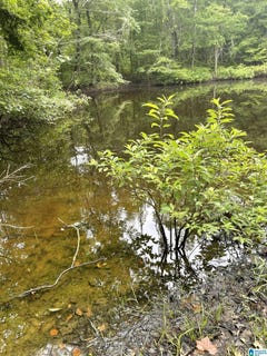/international/us/-1-highway-55-lot-1-sterrett-al-110108765385/