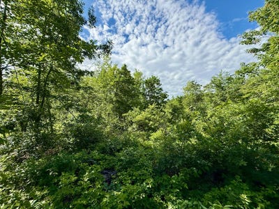 /international/us/lot-3-810th-street-sand-creek-wi-110100628110/