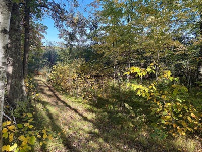 /international/us/248th-place-mcgregor-mn-110120029973/