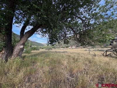 /international/us/x-montezuma-circle-pagosa-springs-co-110100656987/