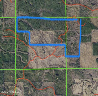 /international/us/attala-county-kosciusko-ms-110100328533/