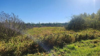 /international/us/county-road-55-ne-remer-mn-110110422886/