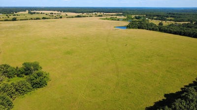 /international/us/3505-se-1379-rd-weaubleau-mo-110097250473/