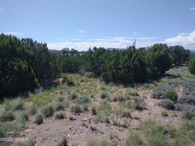/international/us/46-dawn-lane-concho-az-110080007909/