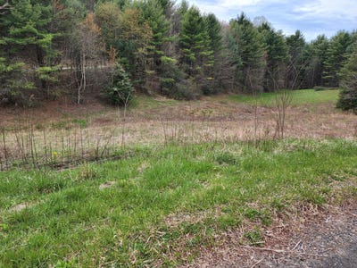 /international/us/tbd-lot-30-laurel-way-mountain-city-tn-110090125303/