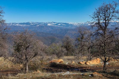 /international/us/6894-state-highway-49-n-mariposa-ca-110106803109/