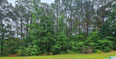/international/us/maynor-lane-lot-32-oneonta-al-110108395457/
