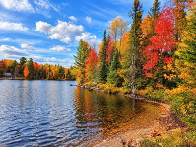 /international/us/on-schuette-rd-watersmeet-mi-110120458908/