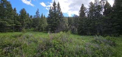/international/us/tract-11-hall-creek-helmville-mt-110108282170/