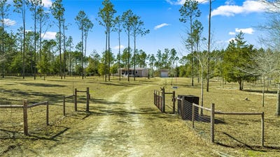 /international/us/5130-se-137th-avenue-morriston-fl-110105396347/