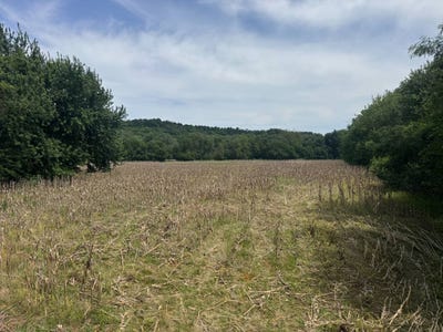 /international/us/tbd-hwy-159-forest-city-mo-110105289915/