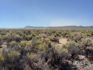 /international/us/oster-farms-lane-christmas-valley-or-110119687823/
