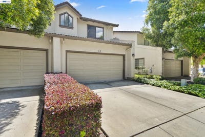 /international/us/18-gazania-ter-fremont-ca-110107382470/