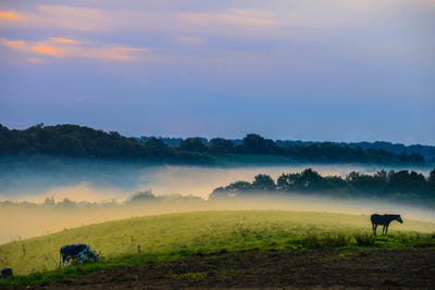 /international/us/14093-madison-pike-morning-view-ky-110100796391/