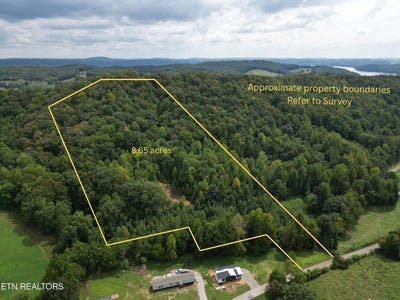 /international/us/406-edwards-lane-rockwood-tn-110120408099/