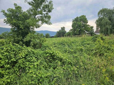 /international/us/1726-munger-street-middlebury-vt-110100722431/
