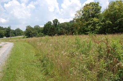 /international/us/10-laural-brook-road-dunlap-tn-110100456772/