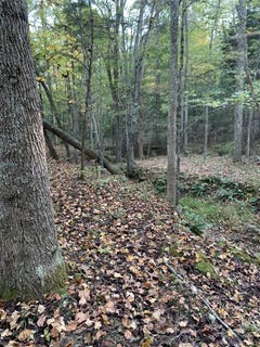 /international/us/3690-morgantown-road-caneyville-ky-110095109672/?lang=zh-tw