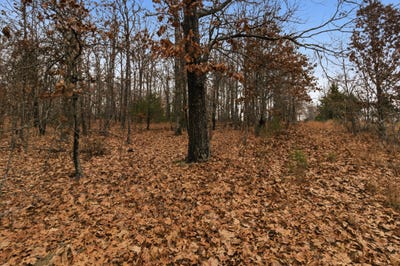 /international/us/old-highway-60-mountain-view-mo-110108024534/