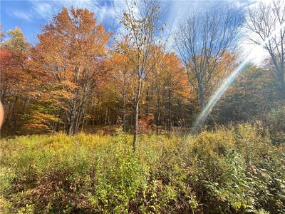 /international/us/535-scutt-mtn-road-stamford-ny-110099963931/?lang=zh-tw