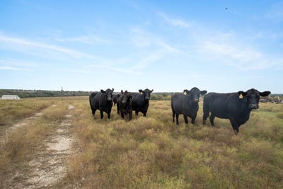 /international/us/7307-boswell-court-lipan-tx-110096033010/