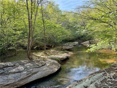 /international/us/otis-woods-road-danbury-nc-110107308795/