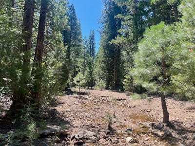 /international/us/1701-knobcone-trail-johnsville-ca-110101636554/