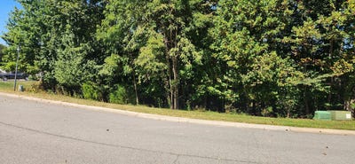 /international/us/stoney-mill-rd-lot-20-rocky-mount-va-110102441076/