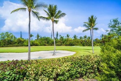 /international/us/78-7070-alii-dr-unit-e103-kailua-kona-hi-110100046419/