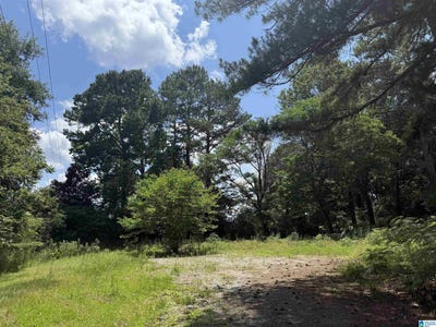 /international/us/141-highway-231-lot-1-5-vincent-al-110108716788/