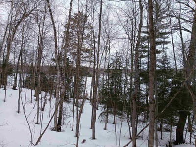 /international/us/county-line-lake-crossroad-lot-1-watersmeet-mi-110107015809/