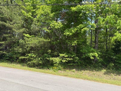 /international/us/lot-66-loblolly-lane-jasper-al-110107505613/