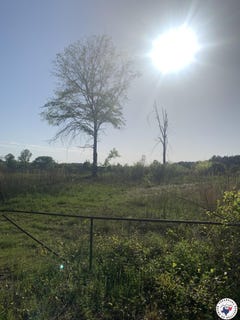 /international/us/4-94-acres-mount-olive-texarkana-ar-110101363606/?lang=zh-cn