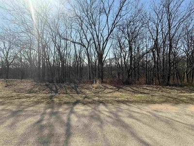 /international/us/9623-w-deerfield-lane-lena-il-110104821246/