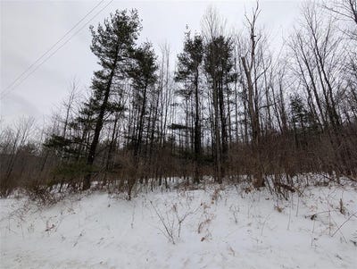 /international/us/458-mount-carmel-road-windsor-ny-110105635167/