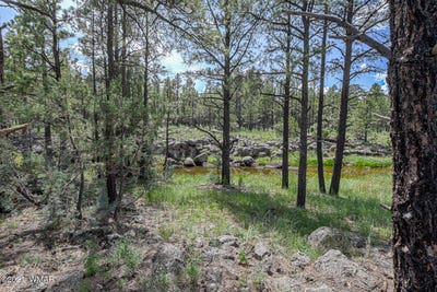 /international/us/026-027-birdsong-way-lakeside-az-110101332767/?lang=zh-tw
