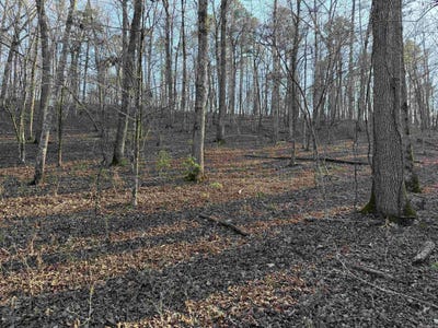 /international/us/highway-336-e-clinton-ar-110106353313/
