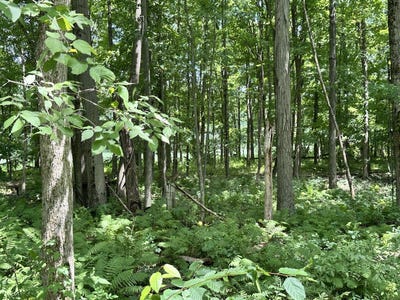 /international/us/flach-road-vicksburg-mi-110101170787/?lang=zh-tw