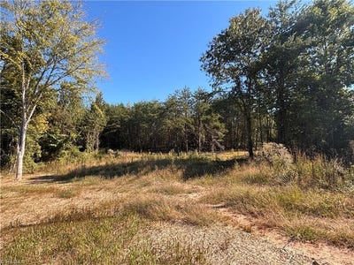 /international/us/103-dalton-loop-stoneville-nc-110120410112/
